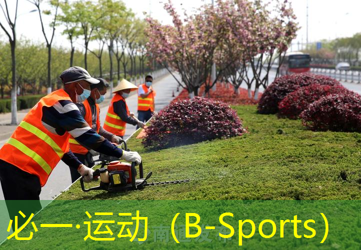 <strong>必一运动官网：草坪种植指南：了解绿化步骤打造完美草地！</strong>