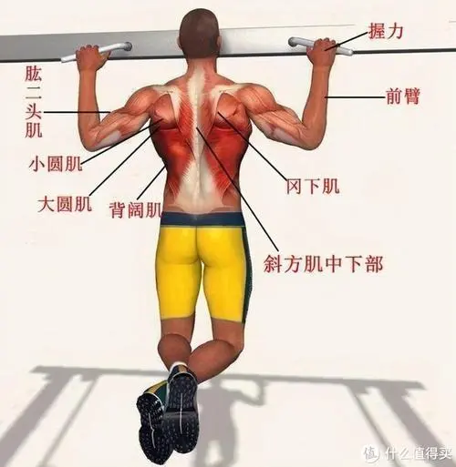 学校的乒乓球台最高
