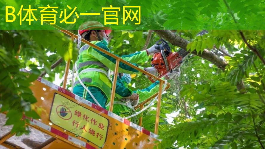 网球拍网线型号怎么看的