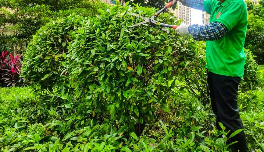 网球拍什么时候要换